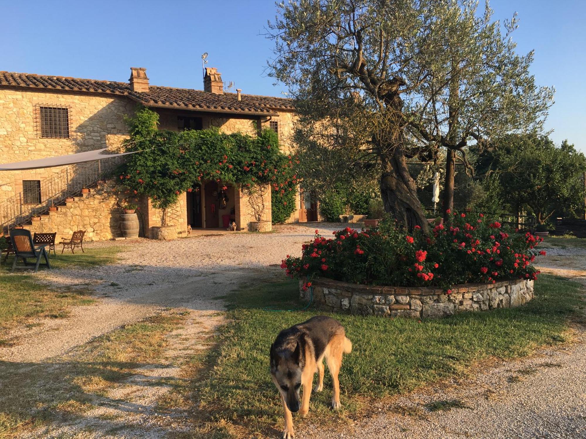 Agriturismo Podere Dell' Olmo Amelia Exteriör bild