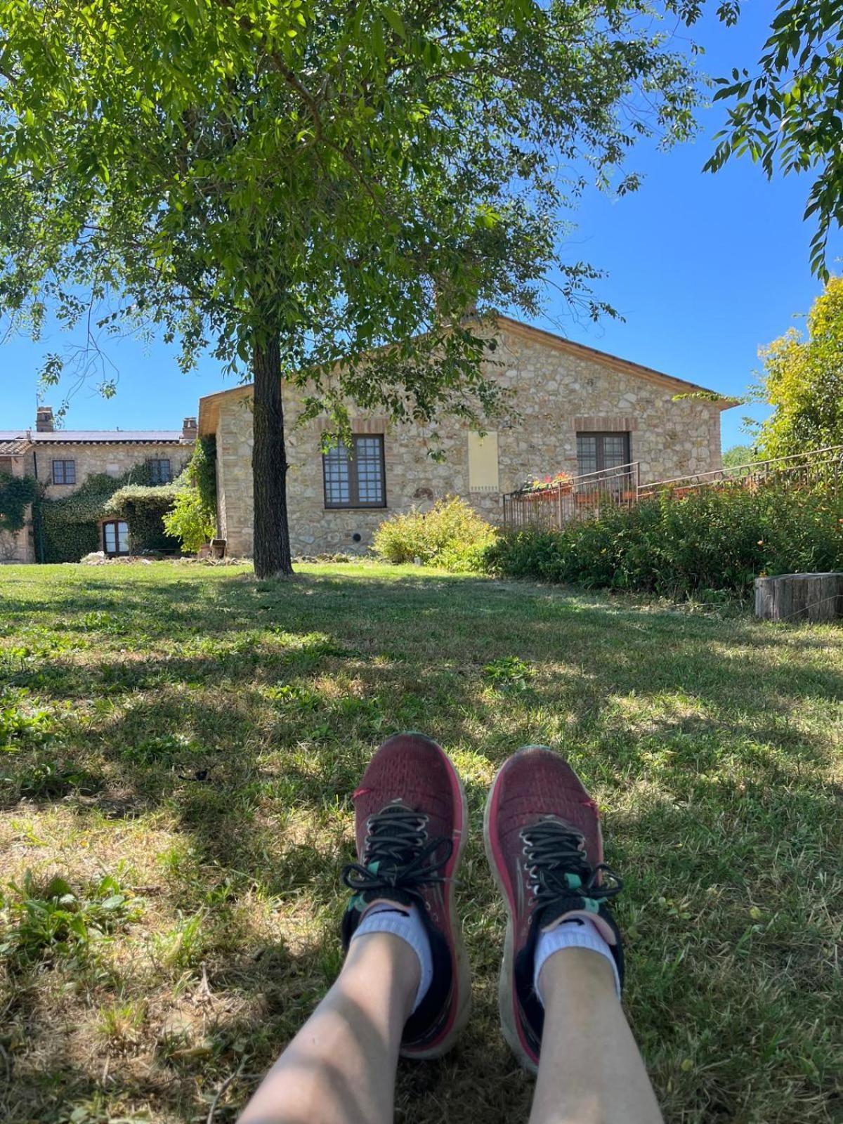 Agriturismo Podere Dell' Olmo Amelia Exteriör bild