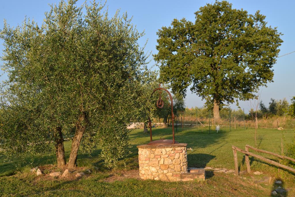Agriturismo Podere Dell' Olmo Amelia Exteriör bild