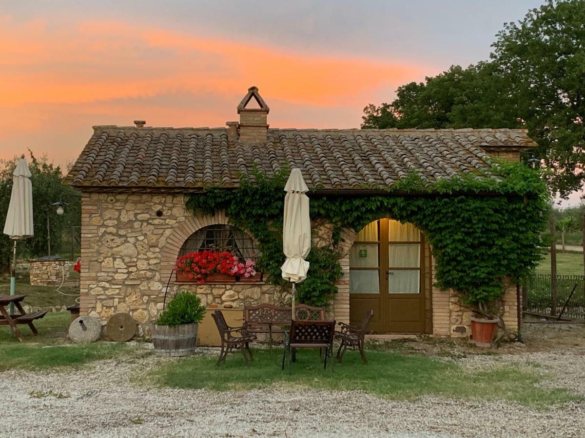Agriturismo Podere Dell' Olmo Amelia Exteriör bild