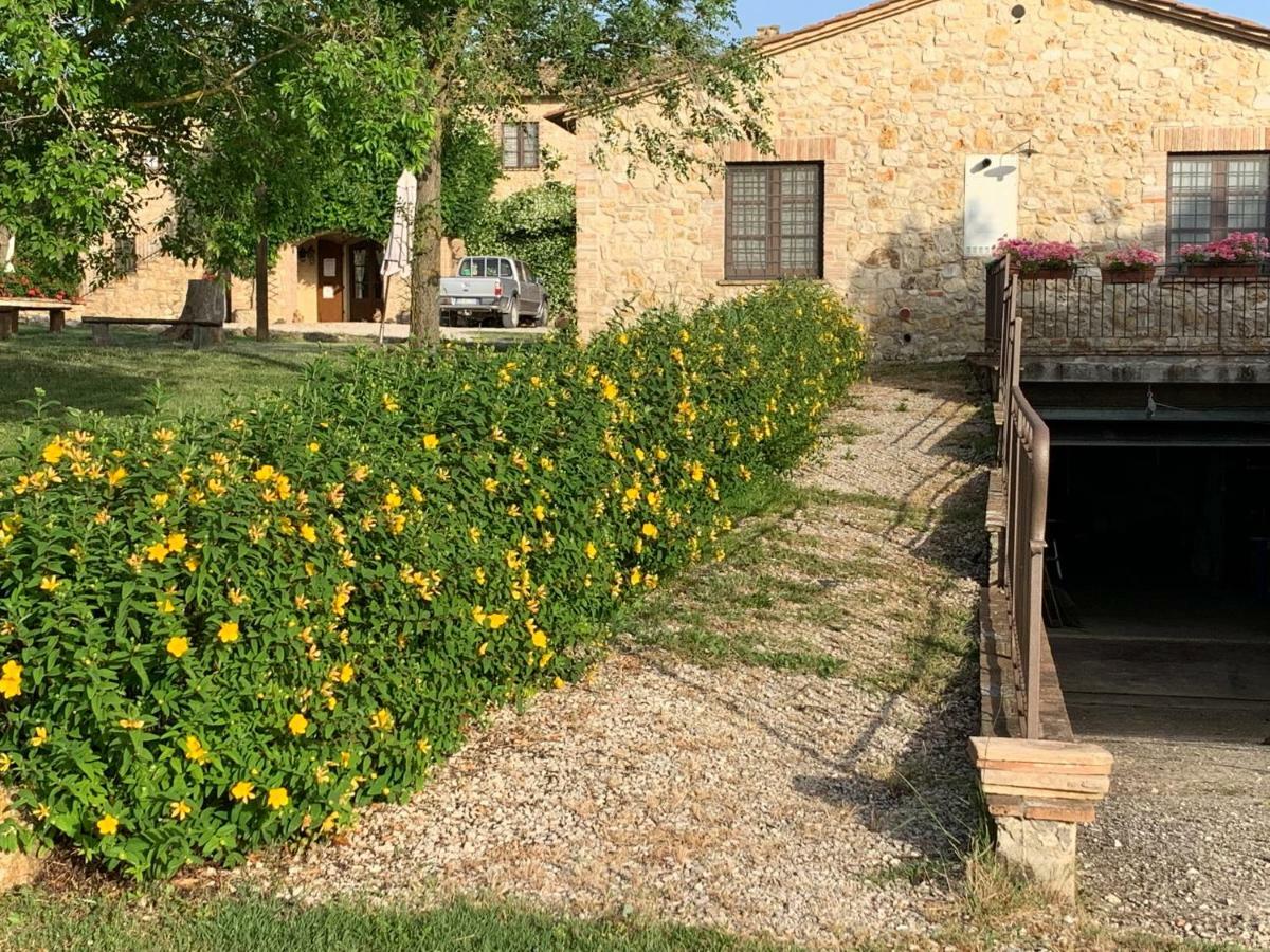 Agriturismo Podere Dell' Olmo Amelia Exteriör bild