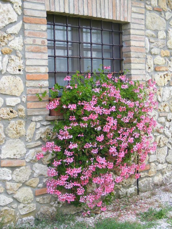Agriturismo Podere Dell' Olmo Amelia Exteriör bild
