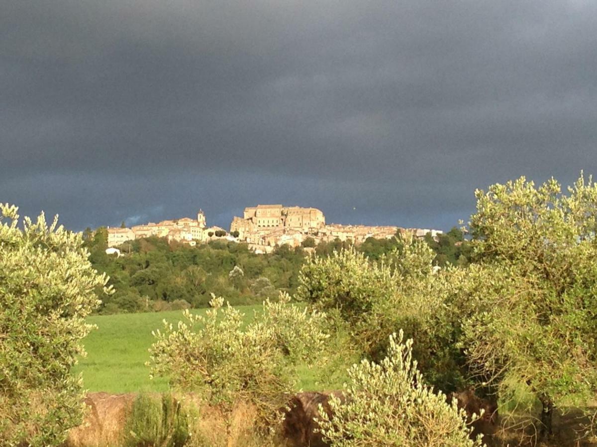 Agriturismo Podere Dell' Olmo Amelia Exteriör bild